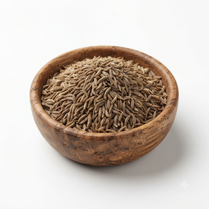 Whole Indian Cumin Seeds Premium Jeera Bulk Supplier