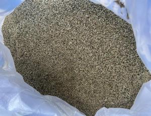 Green Whole Cumin Seeds Spices Bulk Export Grade