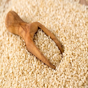Wholesale Raw Indian White Hulled Sesame Seed