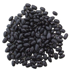 Wholesale Kidney Bean Black Bean Price Bulk Export