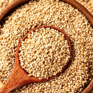 High-quality Roasted White Sesame Seeds Direct Supply