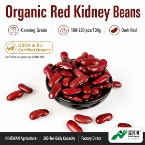 Organic Dark Red Kidney Beans Bulk Canning Grade USDA Organic QIMA