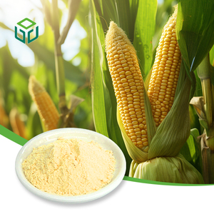 Natural Spray Freeze Dried Yellow Corn Powder