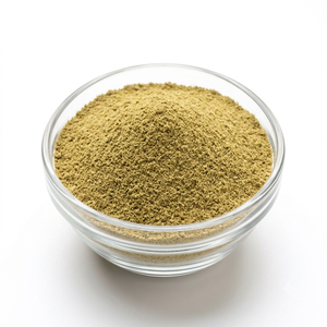 Coriander Powder Premium Indian & Asian Coriander Bulk Supplier