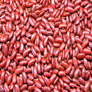 Dried Dark Red Kidney Beans Certified HACCP Rich Protein Bulk 25kg