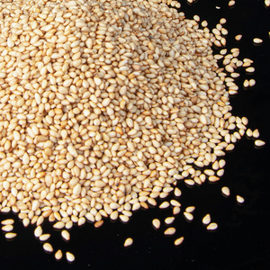 SHOWENUT Roasted White Sesame Plump & Fragrant