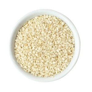 Bulk White Sesame Seeds Premium Whole Sesame for Tahini Bakery Snacks Confectionery
