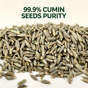 Natural Wholesale Dried AD Raw Cumin Seeds Food Grade
