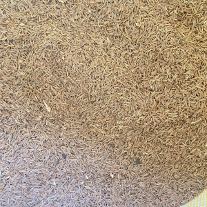 Industrial Cumin Seed Bulk Storage and Quality Control Laboratory