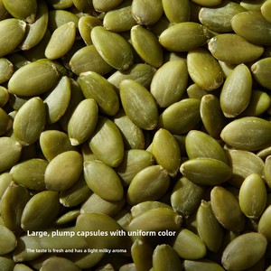 Wholesale Bulk Shelled Peeled Dried Pumpkin Seeds