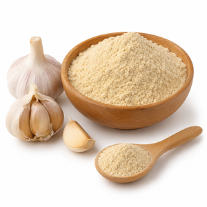 Wholesale Dehydrated Garlic Powder Bulk Ground Seasoning Spice